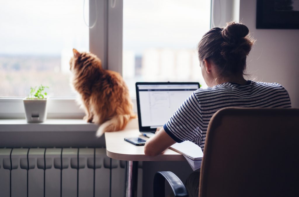 Woman and fluffy orange cat learning about self-employed American taxes