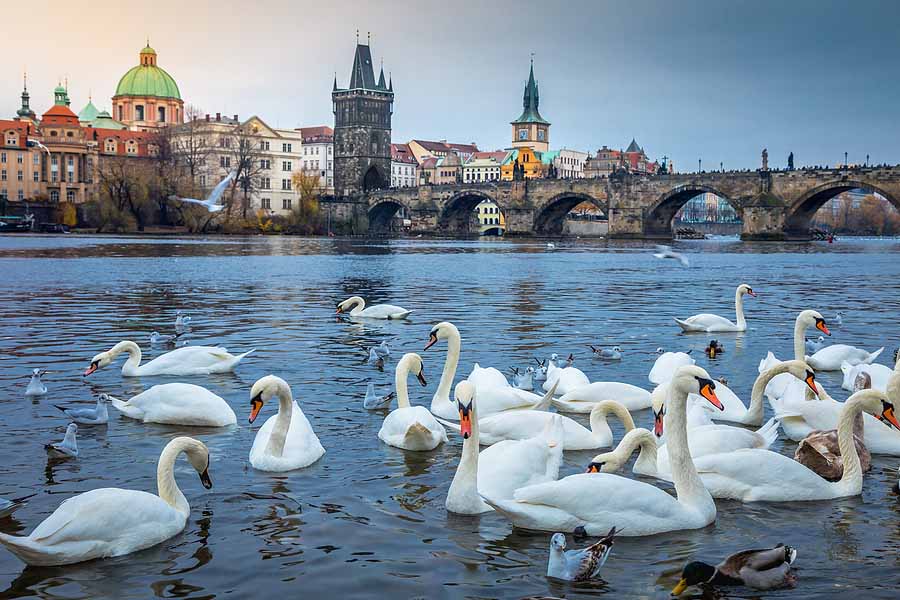 Photo of downtown Prague, Czech Republic. A great place for filing US Expat Taxes