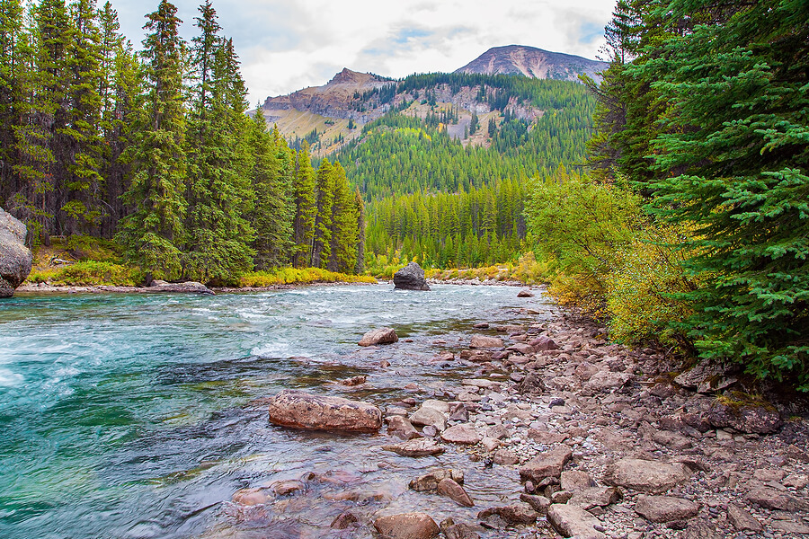 Photo of a forest which has a river flowing through and some mountains far in the distance.