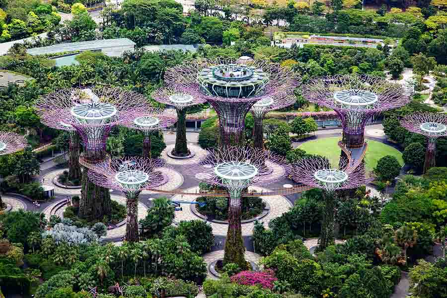Image of Singapore Gardens a place expats might visit when living there. Is there a US Singapore Tax treaty?