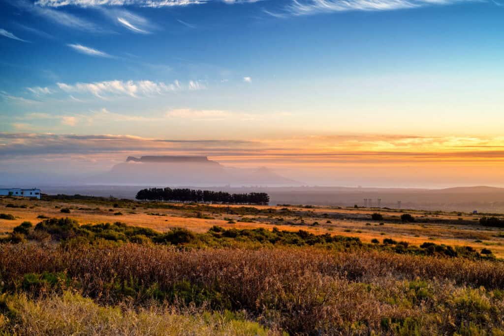US-South Africa Expat Tax Guide